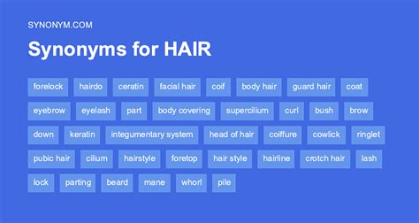 hairdresser synonym|another word for hair stylist.